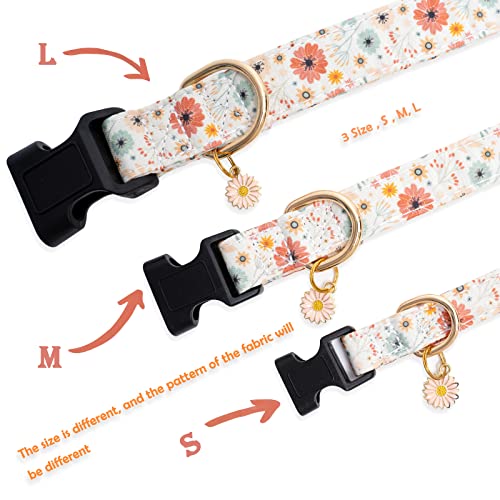 Designer Dog Collars for Female Dogs