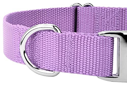 Premium Nylon Dog Collar - 25+ Colors