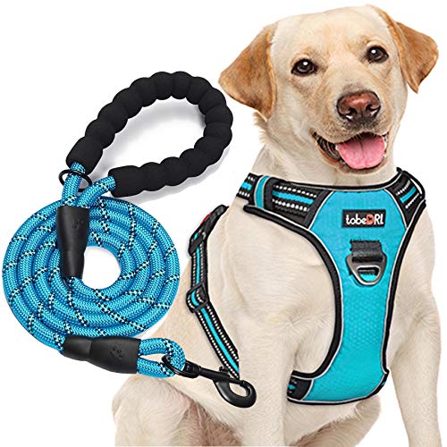 Adjustable reflective dog harness and leash
