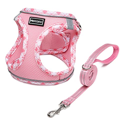 Soft Mesh Dog Harness and Leash Set