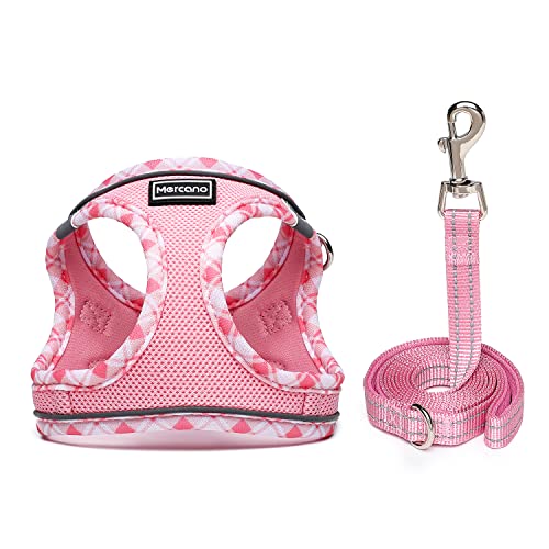Soft Mesh Dog Harness and Leash Set