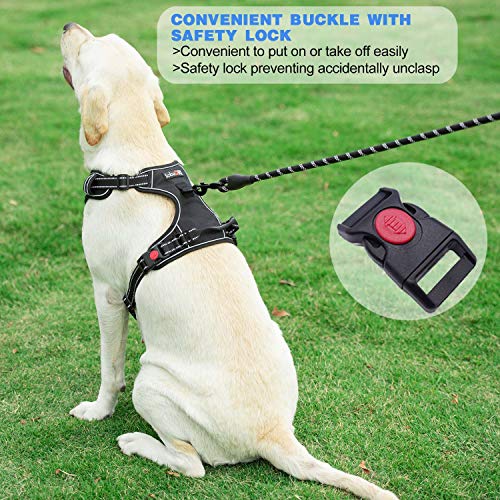 Adjustable reflective dog harness and leash
