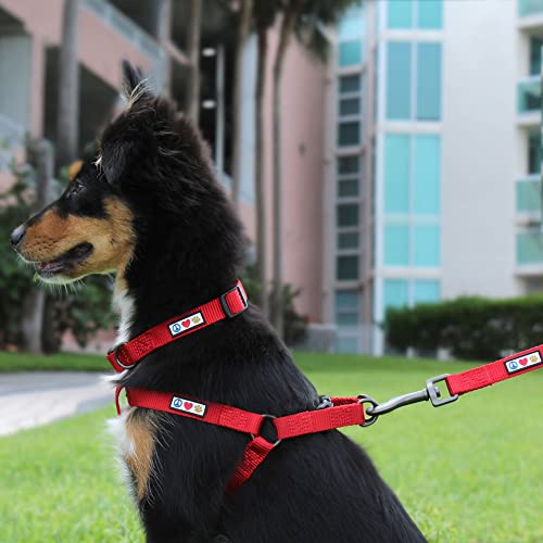 Lush Green Pawtitas Dog Harness