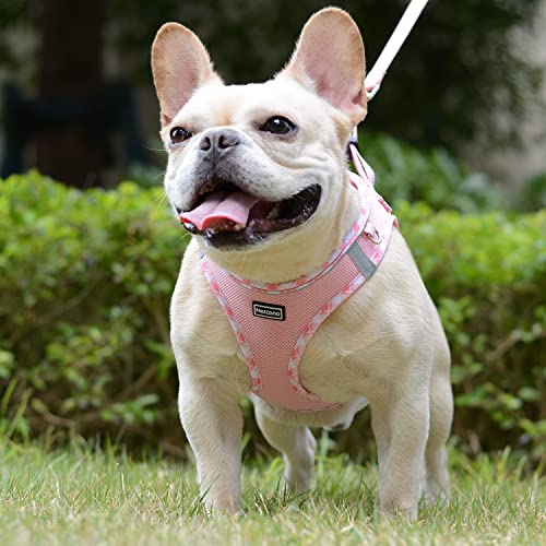Soft Mesh Dog Harness and Leash Set
