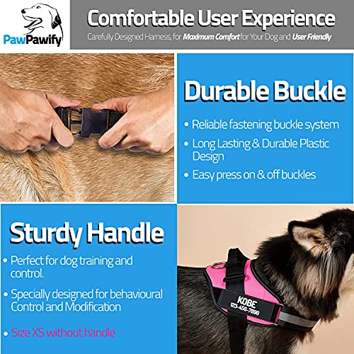 Customizable No Pull Dog Harness with Personalization