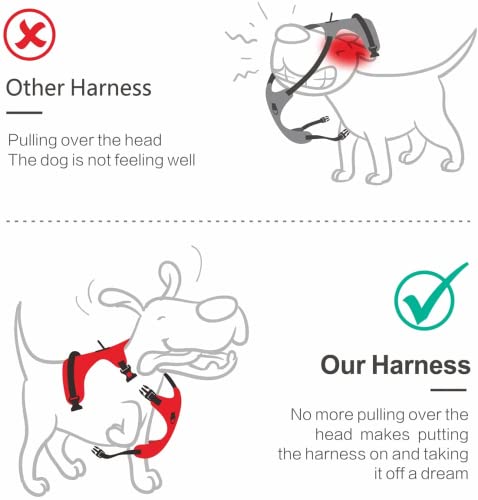  No Pull Dog Harness