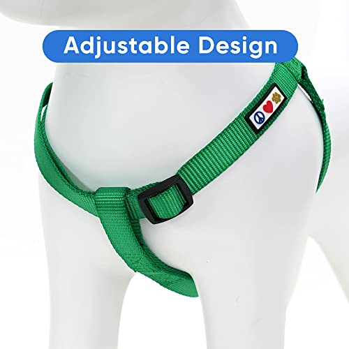 Lush Green Pawtitas Dog Harness