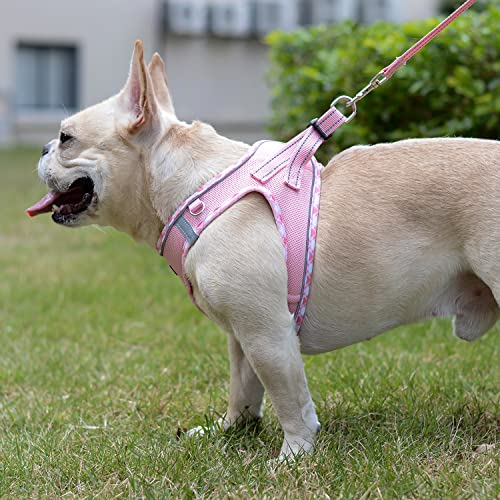 Soft Mesh Dog Harness and Leash Set