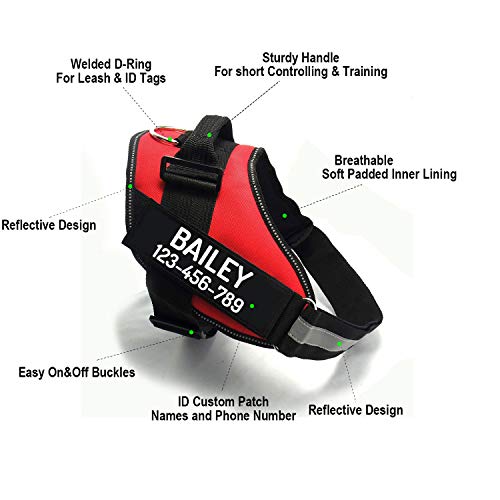 Customizable No Pull Dog Harness with Personalization