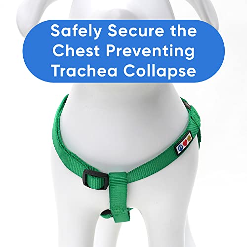 Lush Green Pawtitas Dog Harness