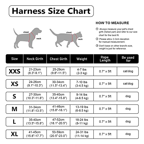 Soft Mesh Dog Harness and Leash Set
