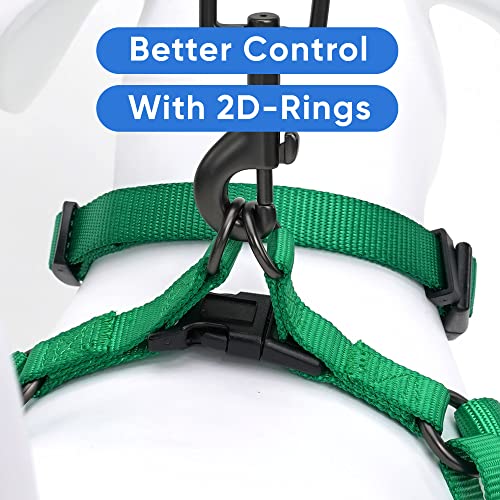 Lush Green Pawtitas Dog Harness