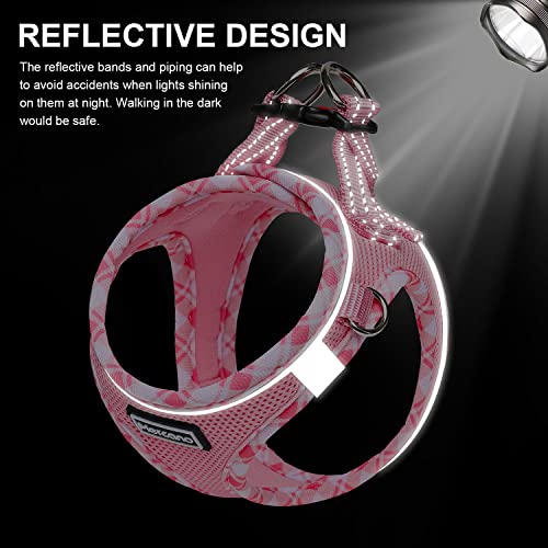 Soft Mesh Dog Harness and Leash Set