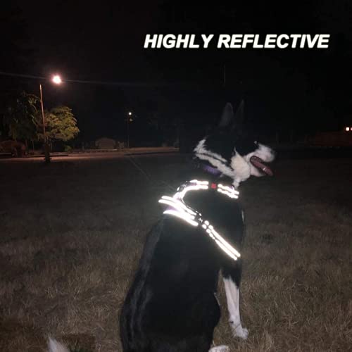  No Pull Dog Harness