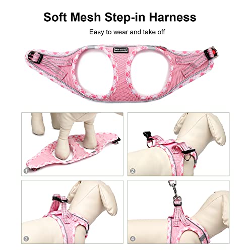 Soft Mesh Dog Harness and Leash Set