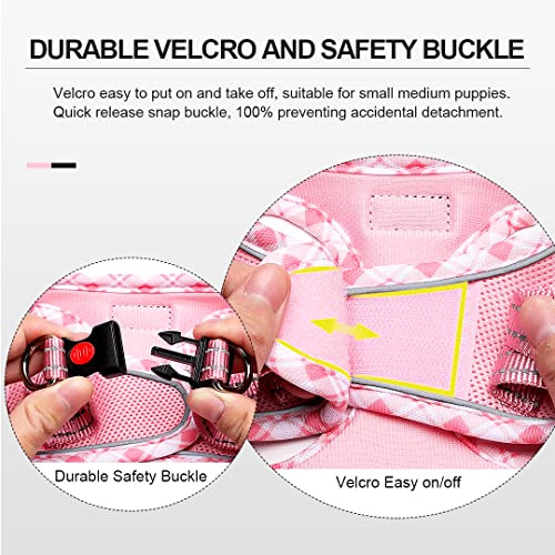 Soft Mesh Dog Harness and Leash Set