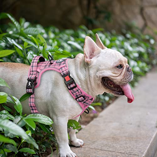  No Pull Dog Harness
