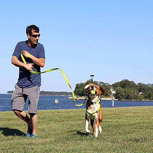 Lush Green Pawtitas Dog Harness