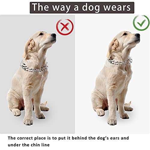 Adjustable Comfort Dog Prong Training Collar
