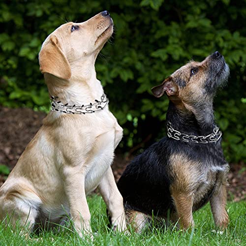 Adjustable Comfort Dog Prong Training Collar