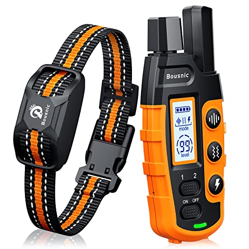 Dog Training Collar with Remote Control