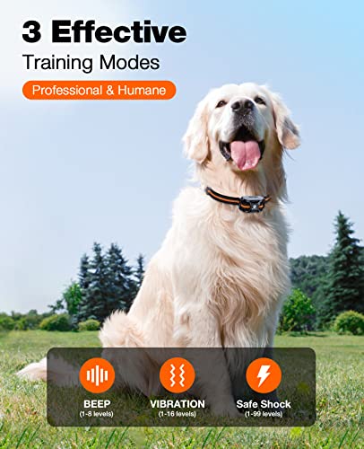 Dog Training Collar with Remote Control
