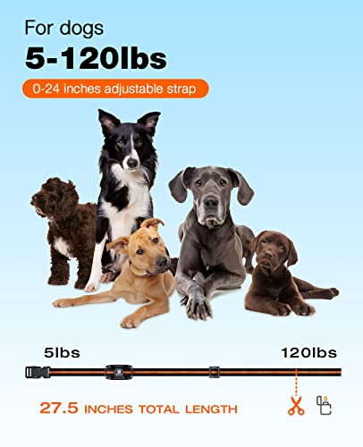 Dog Training Collar with Remote Control