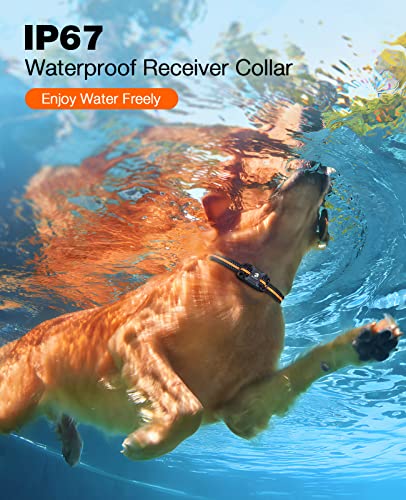 Dog Training Collar with Remote Control