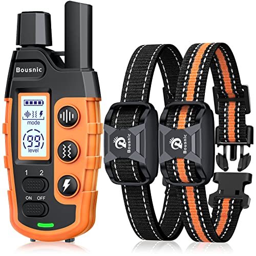 Waterproof Dog Training Collar for 2 Dogs