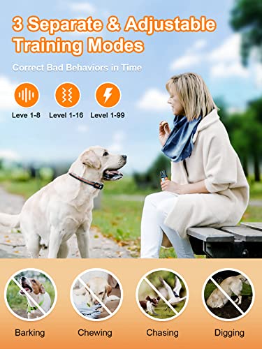 Waterproof Dog Training Collar for 2 Dogs