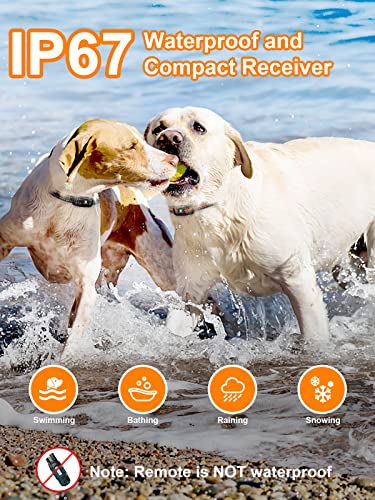 Waterproof Dog Training Collar for 2 Dogs