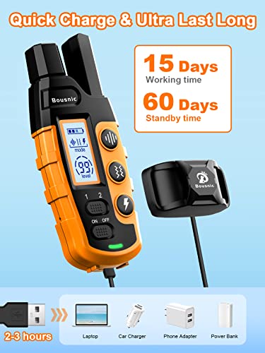 Waterproof Dog Training Collar for 2 Dogs