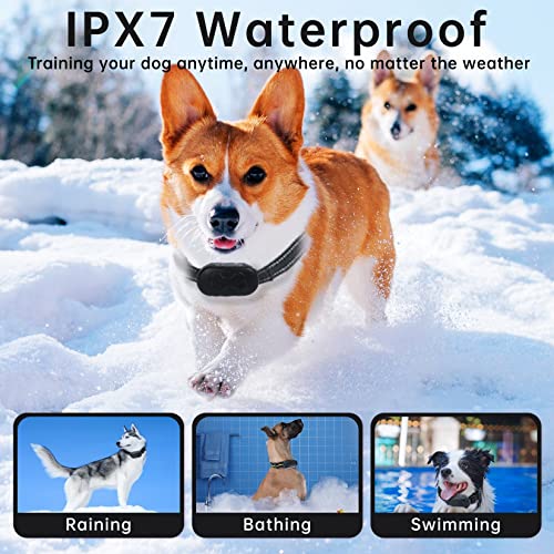 Waterproof Dog Training Collar with Remote - 1600-ft Range