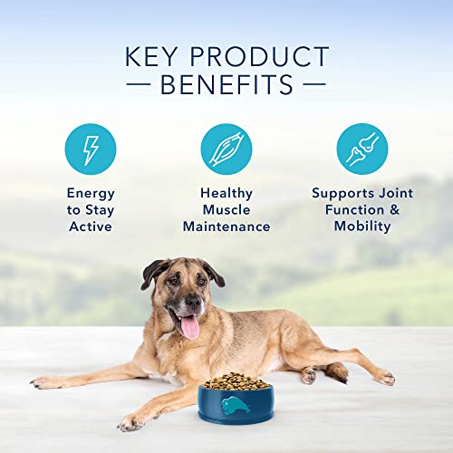 Blue Buffalo Senior Dog Food, Chicken and Rice