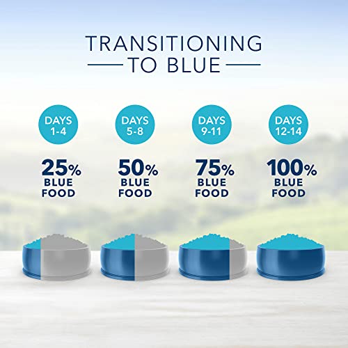Blue Buffalo Senior Dog Food, Chicken and Rice