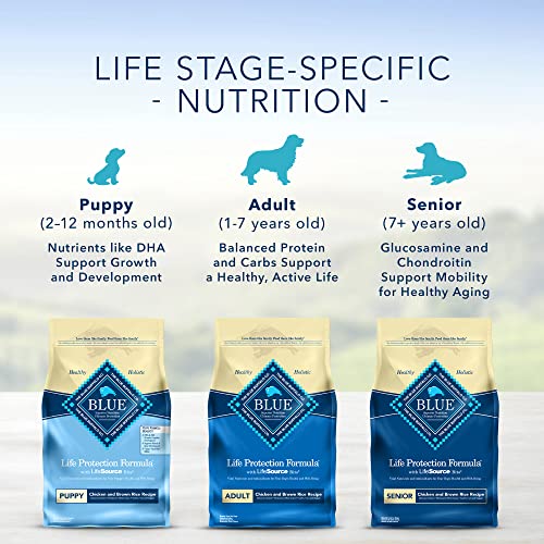 Blue Buffalo Senior Dog Food, Chicken and Rice