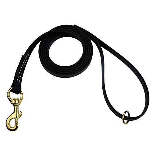 Black Biothane Dog Leash with Brass Hardware