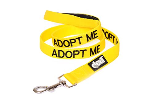 Yellow Coded Padded Dog Leash for Adoption