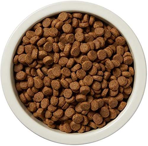 Wag Salmon & Brown Rice Dog Food, 5lb