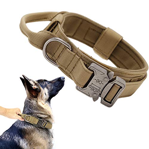 Military Style Adjustable Dog Collar with Handle