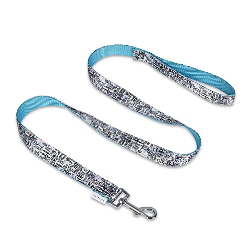 Friends TV Show Doodle Dog Leash