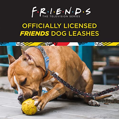 Friends TV Show Doodle Dog Leash