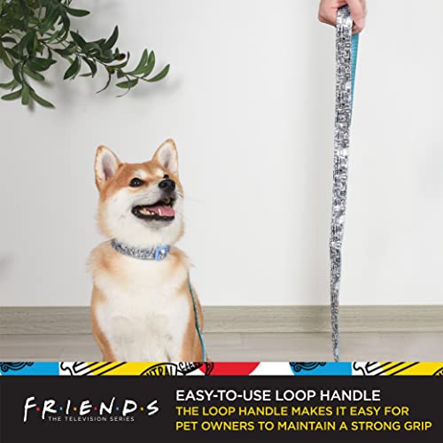 Friends TV Show Doodle Dog Leash