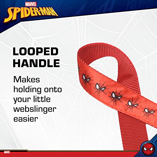 Spiderman Dog Leash with Cute Logo