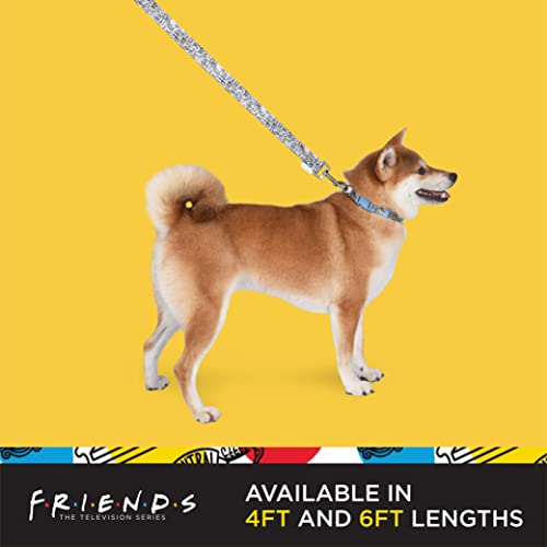 Friends TV Show Doodle Dog Leash