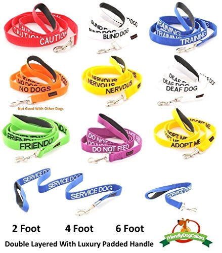 Yellow Coded Padded Dog Leash for Adoption