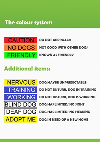 Yellow Coded Padded Dog Leash for Adoption