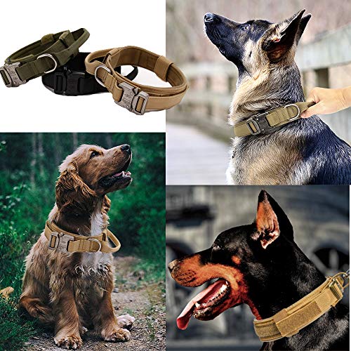 Military Style Adjustable Dog Collar with Handle