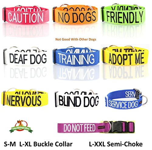 Yellow Coded Padded Dog Leash for Adoption
