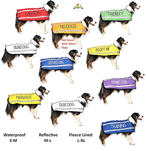 Yellow Coded Padded Dog Leash for Adoption